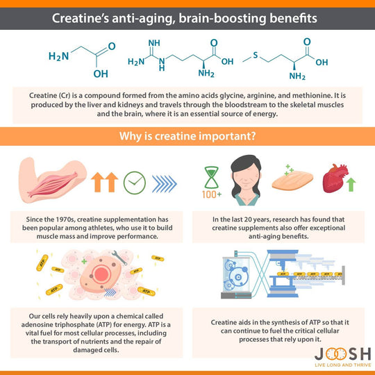 Benefits of creatine supplementation