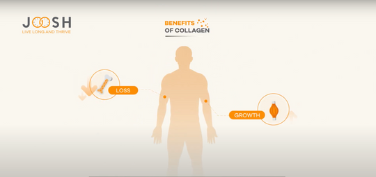 Collagen benefits and properties