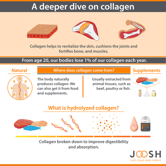A deeper dive on collagen