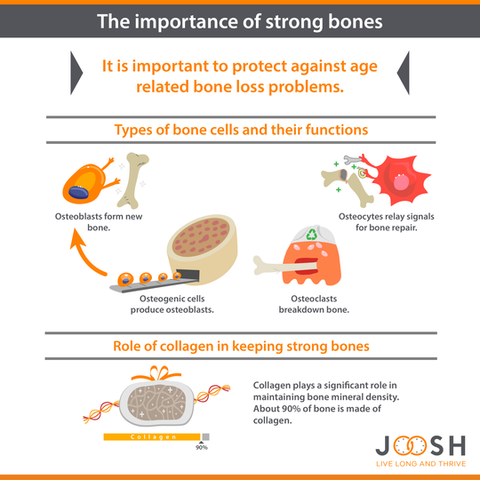 The importance of strong bones