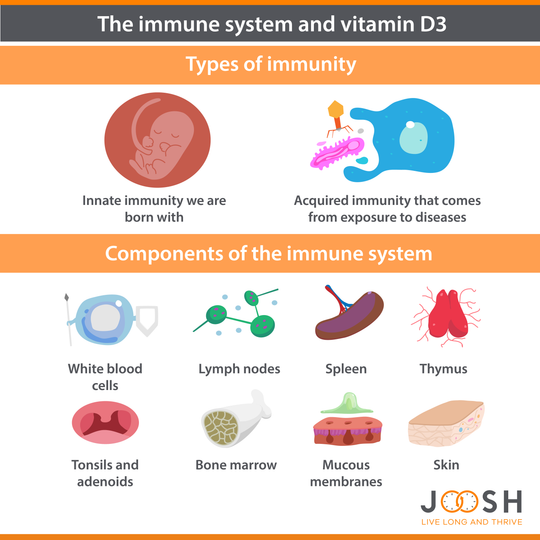 The immune system and vitamin D3