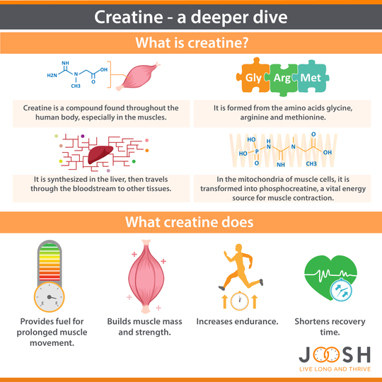 Creatine - a deeper dive