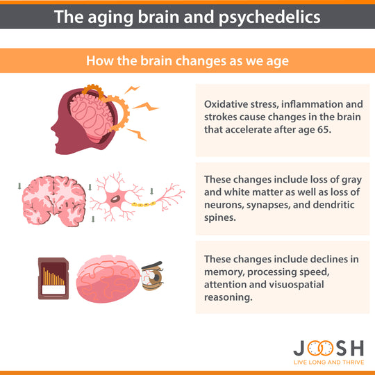 The aging brain and psychedelics