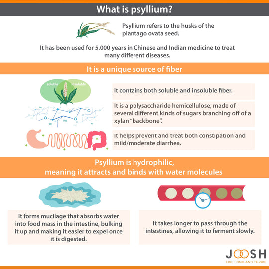 What exactly is psyllium?