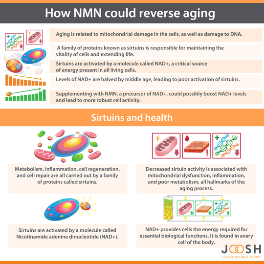 Reverse aging through NMN