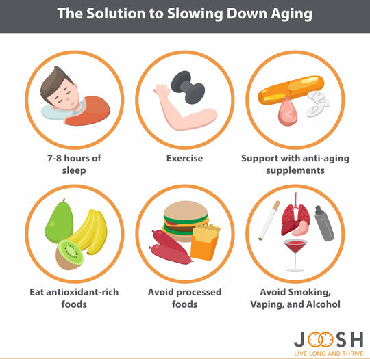 Summarizing age progression and how to slow aging